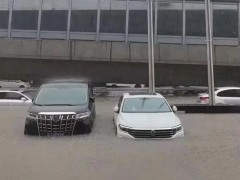 想買一輛泡水車，但又不懂？