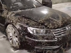 泡水車能再次買涉水險(xiǎn)嗎（沒有買涉水險(xiǎn)車被泡了保險(xiǎn)賠嗎）