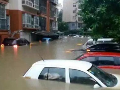 為什么很多人喜歡買泡水車(泡水車有什么優(yōu)勢(shì))