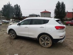 是否可以查到泡水車(chē)的維修記錄？如何查詢(xún)？