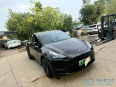 泡水車(chē)的獨(dú)特視角：重生之美與機(jī)遇的交響、逆境中的瑰寶