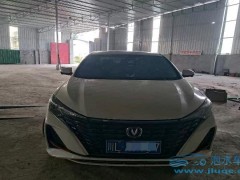比亞迪領(lǐng)跑市場(chǎng)：上半年汽車銷量冠軍背后的實(shí)力與策略