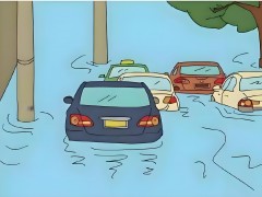 水淹車出售網(wǎng)，水淹車的分類，如何購買水淹車？