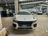 22年領(lǐng)克09