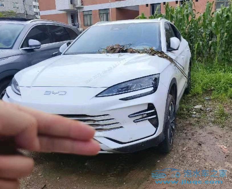 25年比亞迪宋泡水車