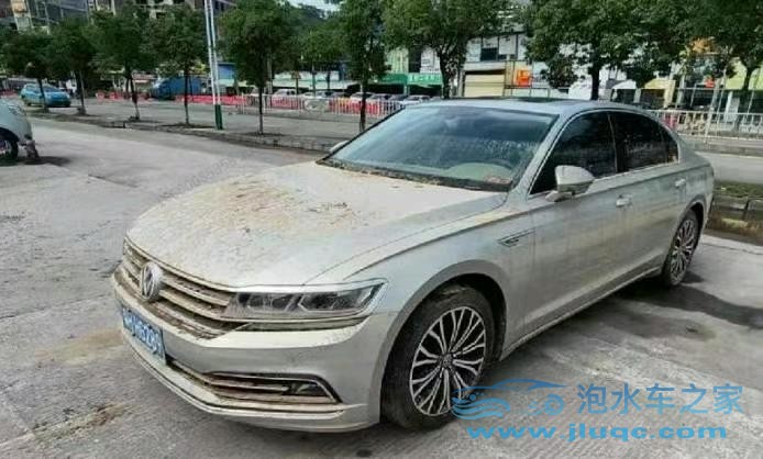 20年大眾輝昂泡水車