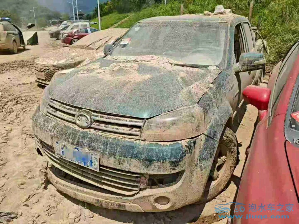 14年長(zhǎng)城風(fēng)駿泡水車