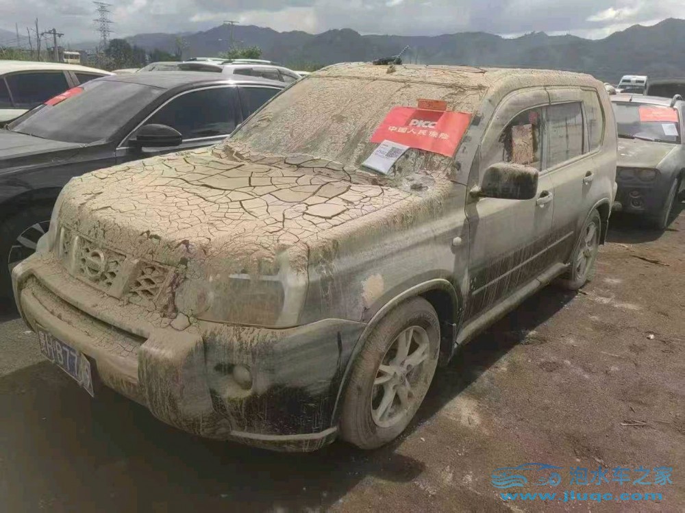 10年日產奇駿