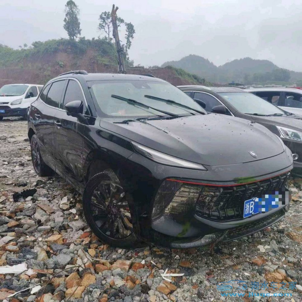 22年東風(fēng)風(fēng)行泡水車