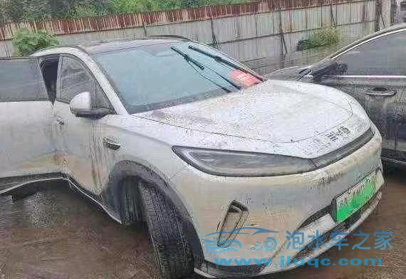 25年比亞迪海獅泡水車(chē)