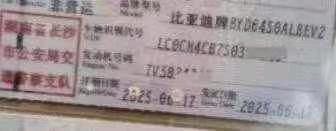 25年比亞迪海獅