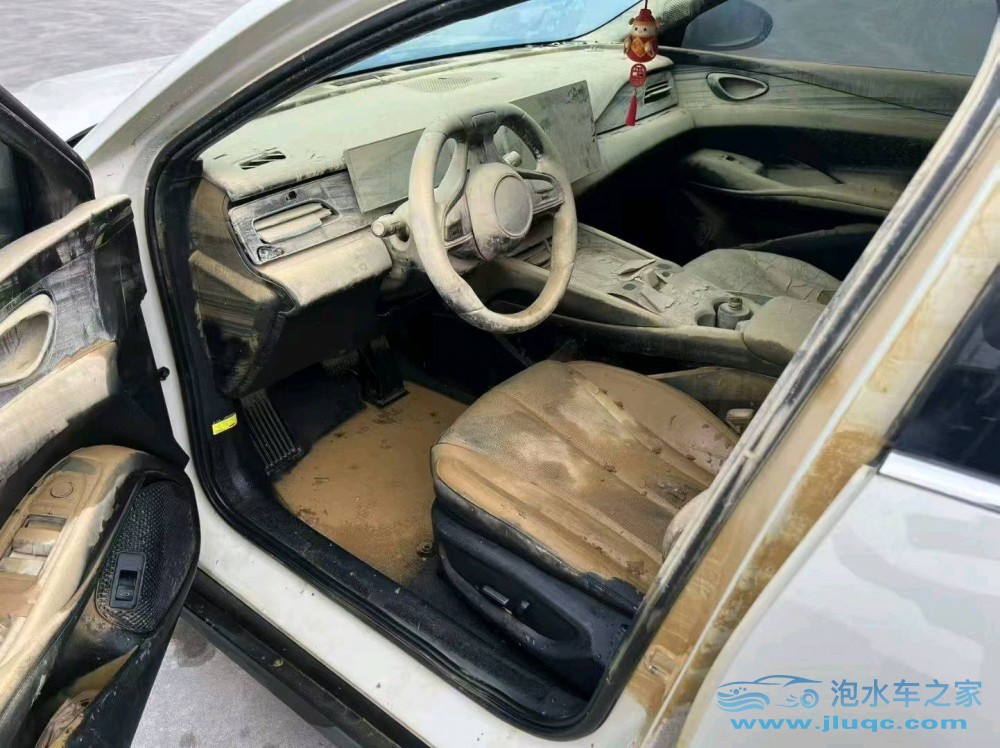 24年比亞迪海豹