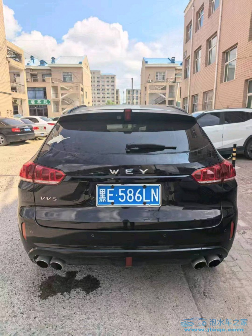 19年WEYVV5