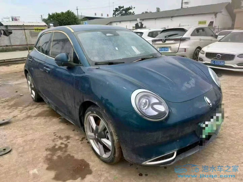 23年歐拉好貓泡水車
