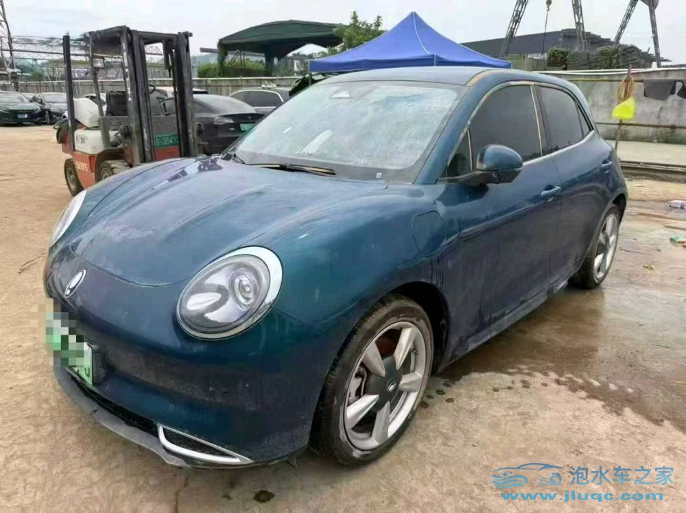 23年歐拉好貓