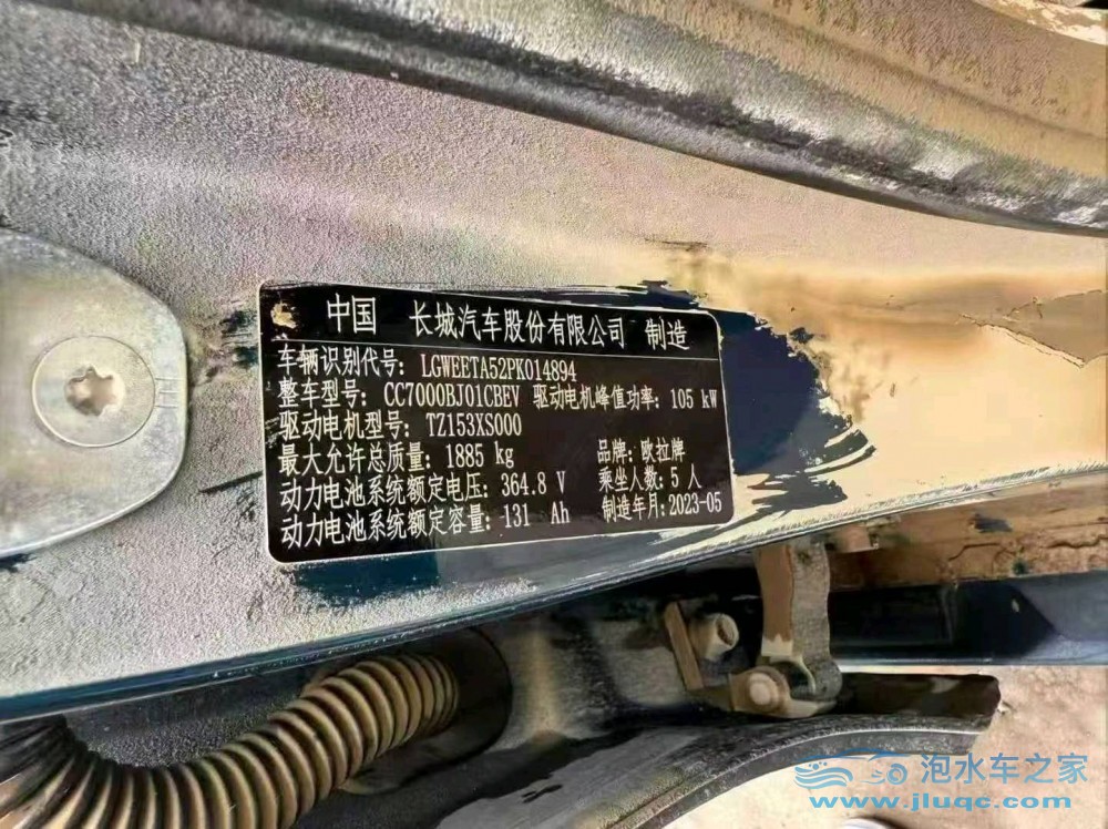 23年歐拉好貓
