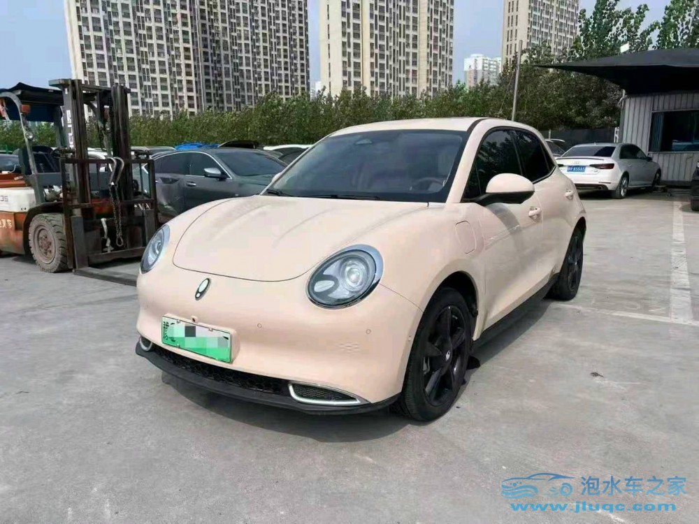 24年歐拉好貓泡水車