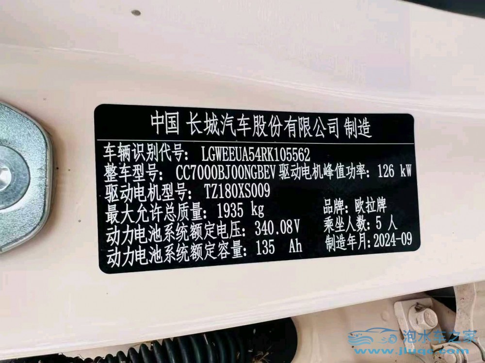 24年歐拉好貓